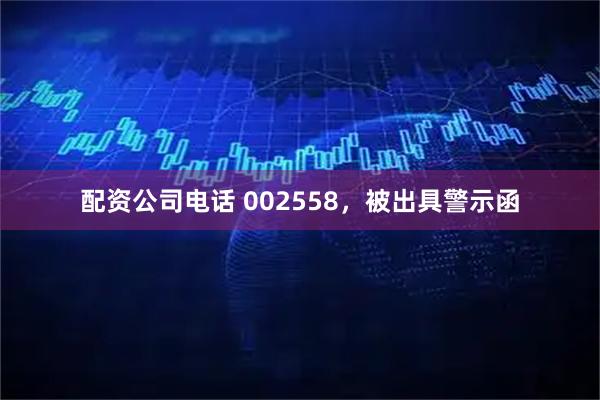 配资公司电话 002558，被出具警示函